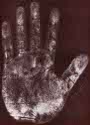 Einstein's left handprint