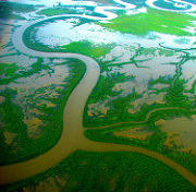 Mitchell River delta