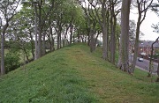 The Keptie Hills esker, Arbroath, Scotland