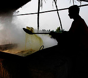 Jaggery making