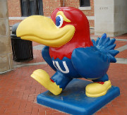 jayhawker