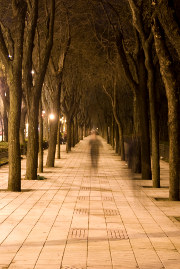 Paseo de Rosales, Madrid