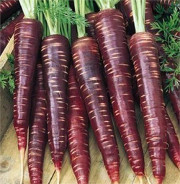 perse carrots 