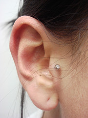 tragus